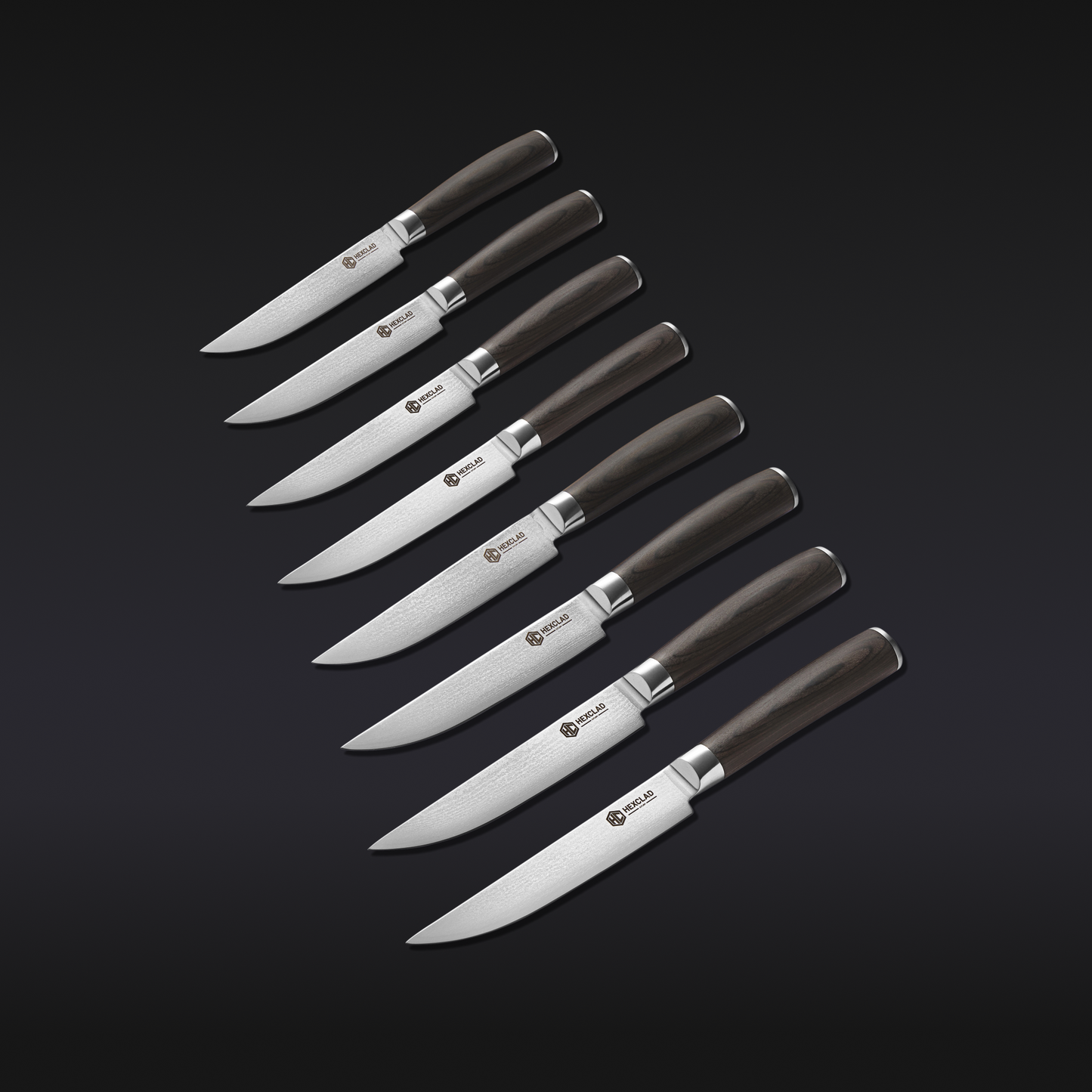 Steak Knife & Bistecca Plate Set, 16-pc (Espresso)